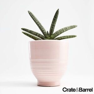plant with pot LE TAUCI 10 Inch Plant Pot, Ceramic Pots for Plants with Drainage Plug –  LETAUCI main image 1